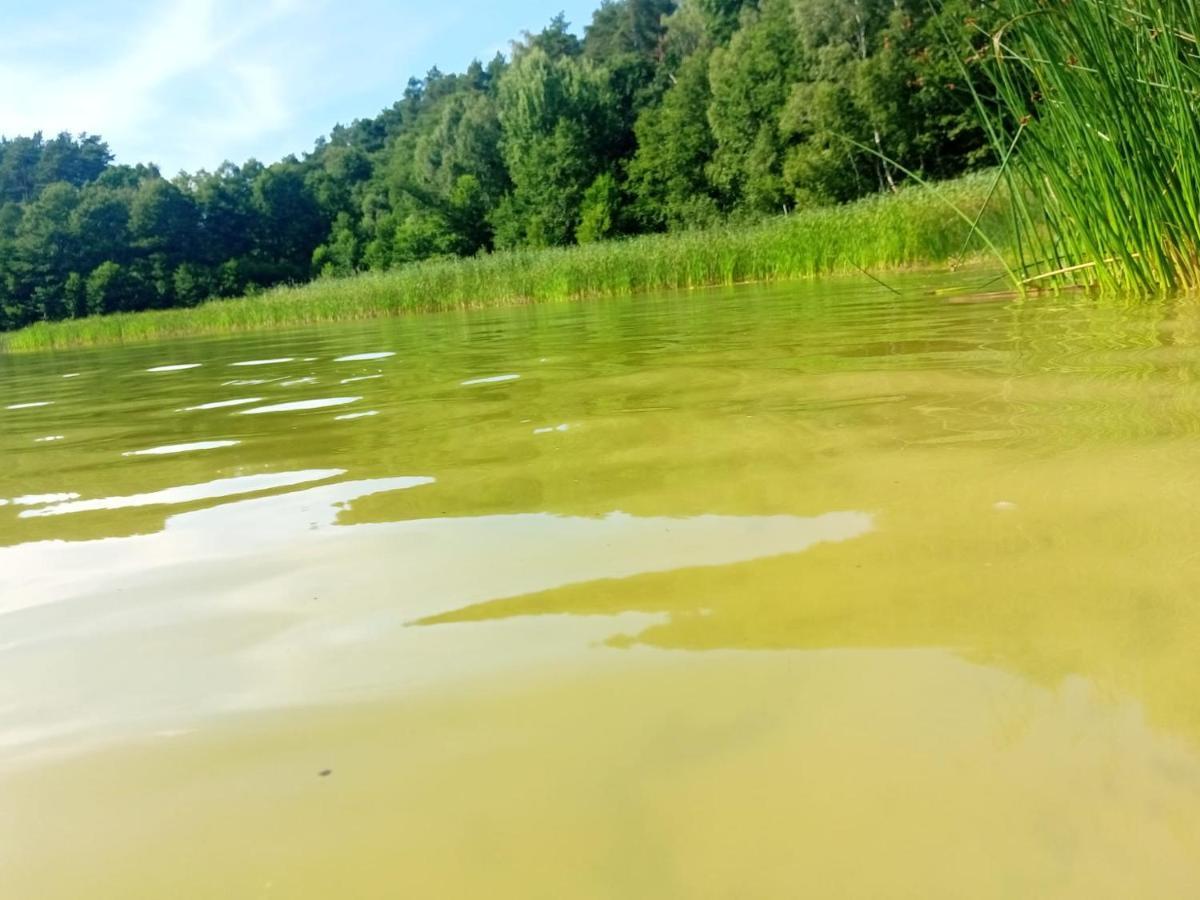Smocze Ranczo 2 Βίλα Ośno Lubuskie Εξωτερικό φωτογραφία